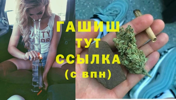 эйфоретик Баксан