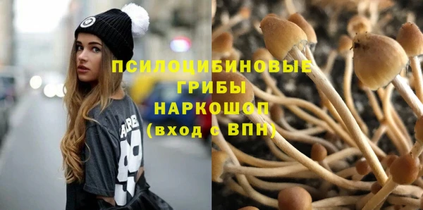эйфоретик Баксан