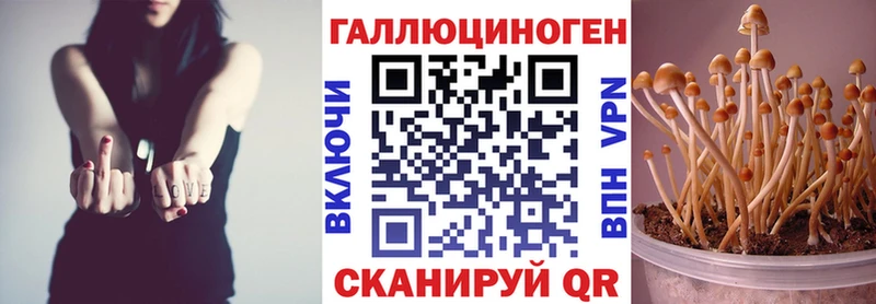 Псилоцибиновые грибы Psilocybe  Белогорск 
